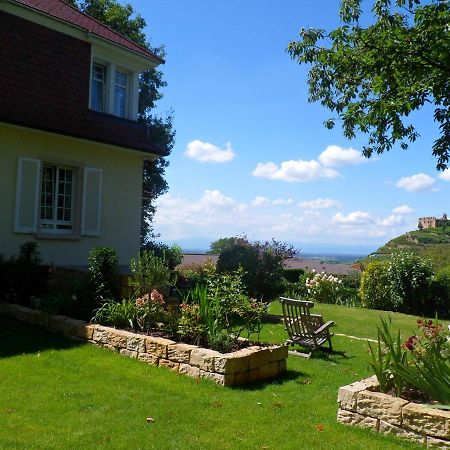 Villa Burgblick - Luxury Bnb Staufen im Breisgau Exterior foto